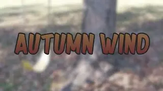 Autumn Wind