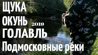 Рыбалка на щуку окуня и голавля на реке 2019