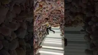 21 марта 2024 г.