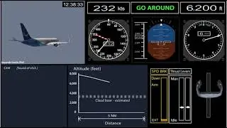 Regional Air Flight Investigation