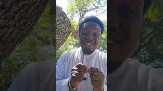 Sunday Prayer Walk With Prophet TB Joshua's Disciple Prophet Paul David 