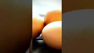 egg#edit
