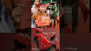 দাবি চলতাছে চলবোই