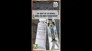 🎨 Le noir et le blanc sont-ils des couleurs? | Optique | Physique | Chroma | Valeur | Nuance