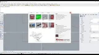 Migrate Mesh2Surface to Rhinoceros 7