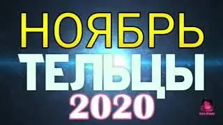ТЕЛЬЦЫ 💜 НОЯБРЬ 2020 Энергии/задачи