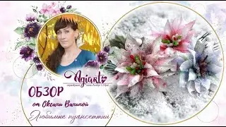 Обзор 