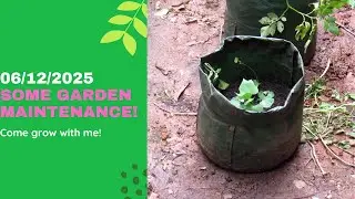 Garden Maintenance