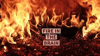 [FREE] FIRE IN THE BRAIN (LISTEN AT YOUR OWN RISK | FIRE Type Beat | Rap Trap Beats Freestyle