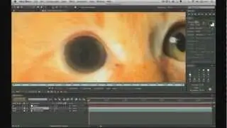 Proyecto cine y animación// (Lo que yo me quiero dedicar) wach in HD