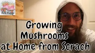 Growing Mushrooms at Home from Scratch and Repurposed Plastic Container as Bulk Substrate Container!