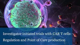 Investigator initiated trials with CARTcells: Regulation & PointOfCare production (Michael Schmitt)