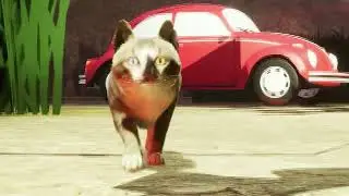 Stray Cats