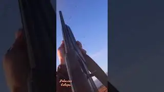 #ТУЧИ ГУСЯ#ОХОТА НА ГУСЯ#КРАСИВЫЙ НАЛЕТ#