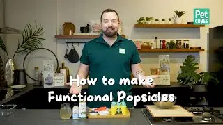 How To Make Functional Popsicles | Ice cream for dogs | Ice lolly for dogs