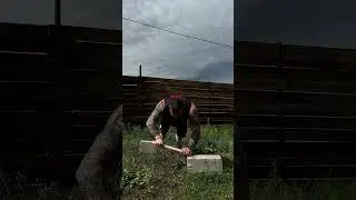 23 мая 2024 г.