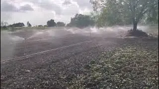 Netafim Mini Sprinkler 