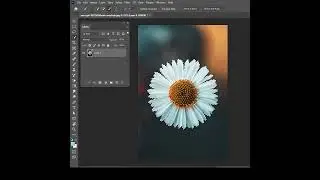 Change flower color in less than 1 minute #photoshoptutorial