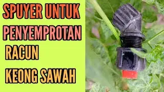 SPUYER UNTUK PENYEMPROTAN RACUN KEONG SAWAH #moluskisida #sprayerelektrik  #penyemprotan