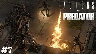 РАЗВЕЛИ КАК РЕБЁНКА ➤ Aliens vs. Predator (Прохождение) #7