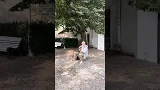 Листья жёлтые…