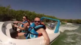 Jungle Tour Dolphin Discovery Cancún