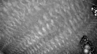 RMS BR0012 20240129 210644 005831 timelapse