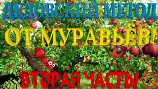 ДЕДОВСКИЙ МЕТОД №2 ОТ МУРАВЬЁВ!