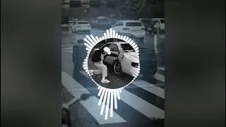 Полумягкие --Легавым ACAB