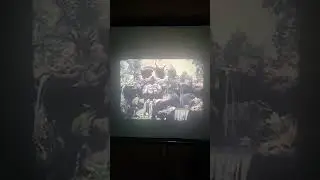 40+ Year Old 8mm Film of Disneyland