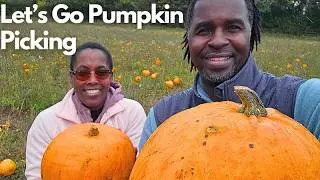 The Best of Autumn- Let's Go To The Pumpkin Patch