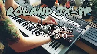 ROLAND JX-8P vintage synthesizer sound shaping DT800 controller *no talk* 80s vibes Mancave retro