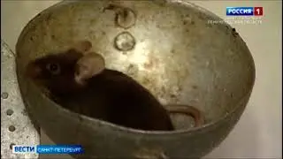 В ТАСС прошла пресс-конференция, посвященная профилактике вирусных заболеваний