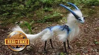 5 Bizarre Creatures - real or fake