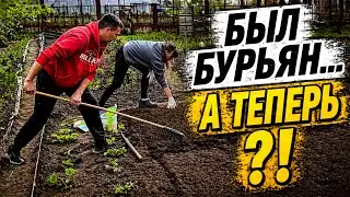 We took on an ABANDONED plot... The results SHOCKED us! What's next?