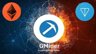 GMiner не ввести вторую монету в Hive OS для дуал майнинга. Решение