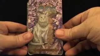 Mystical Cats Tarot