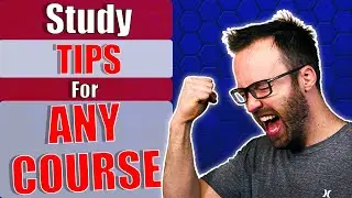 Study Tips for PT School that Work for Any Course