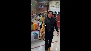 мамура УКРАЛ жирафа ради дочки? эдвард бил после дтп