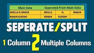 Text to Columns: How to Split text into different columns || Separate Data to Multiple Columns