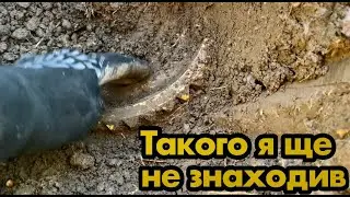 Такого я ще не знаходив! Масивна штукенція з глибини землі у лісових хащах! Пошук з м.д. у лісі