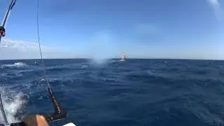 Kitesurfing and Windsurfing with Stefan imielski in Cyprus 2015