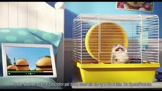 Sky Broadband WiFi Guarantee & The Secret Life of Pets 2