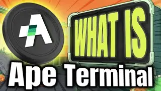 What is APE TERMINAL? Get Early Access in HUGE Crypto Projects 🚀