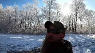 HEAVY FROST ON TREES MAKES IT LIKE CUTTING IN A SNOW GLOBE. #stihl #462 #logging