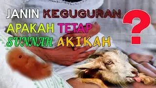 JANIN K3GUGUR4N APAKAH TETAP SUNNAH AKIKAH ?