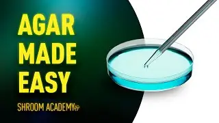🍄 Shroom Academy Agar preparation for mushroom cultivation