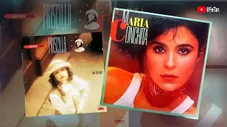 傻女 陈慧娴 (Priscilla Chan)《附加西班牙曲：La Loca  Maria Conchita Alonso》