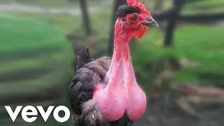 [GUTTER] say hello to my c0ck.mp4