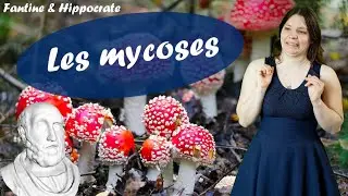 🍄🍑🍆 Mycoses - Fantine & Hippocrate #24